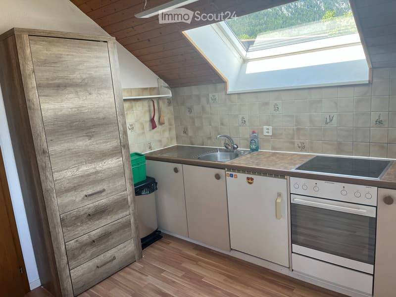 Cozy 2.5 room apartment in Oberdorf SO (4)