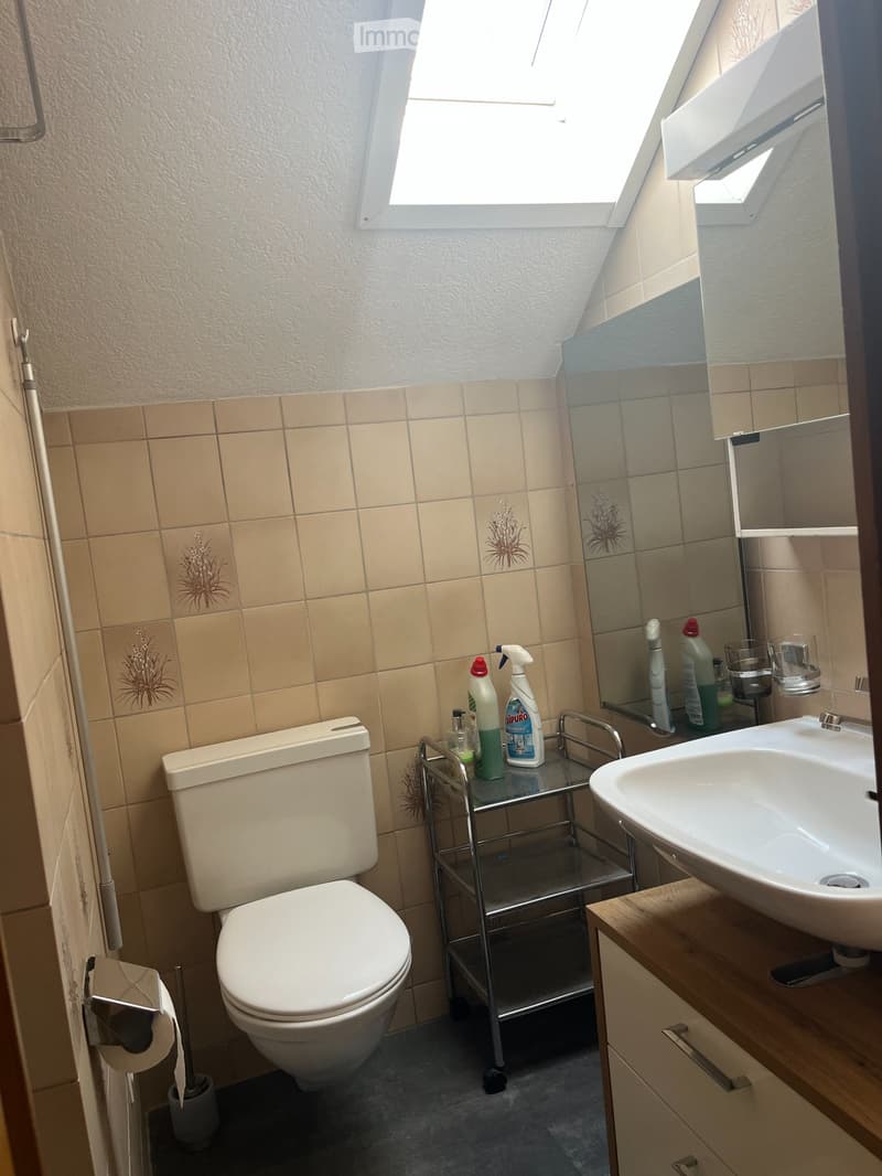 Cozy 2.5 room apartment in Oberdorf SO (5)