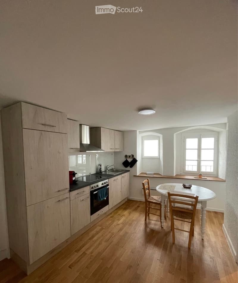 Apartment 2.5 furnished for rent - Nyon Rive (3)