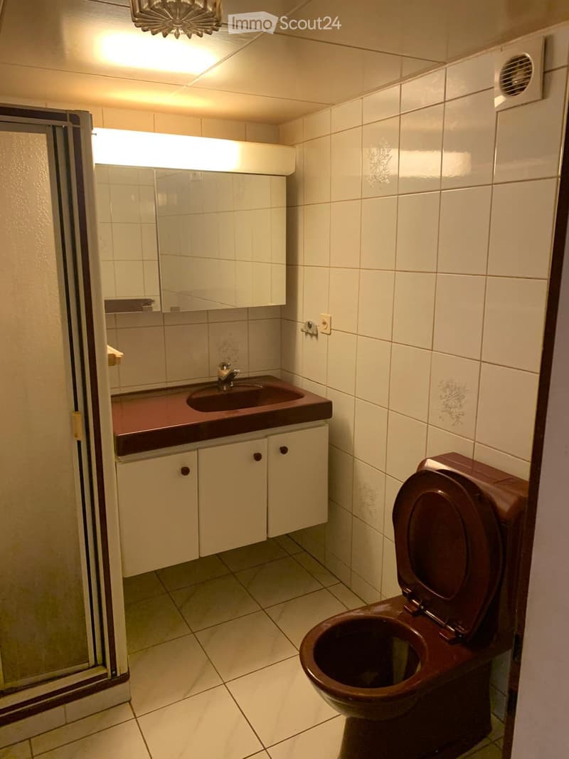 Charmanter Reihenhaus mit Entwicklungspotenzial (13)