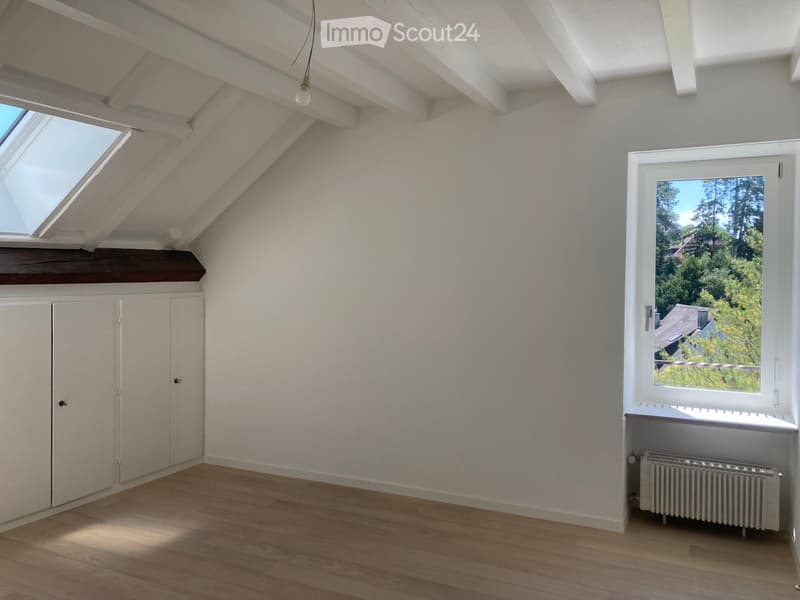 Superb character apartment with lake view (5)