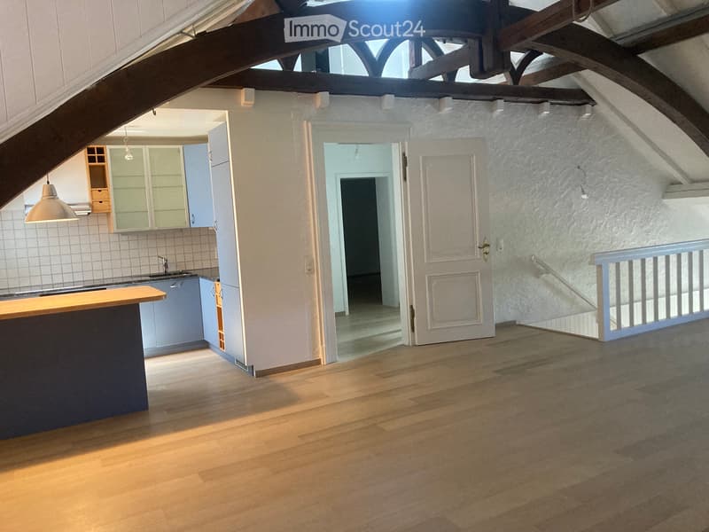 Superb character apartment with lake view (2)