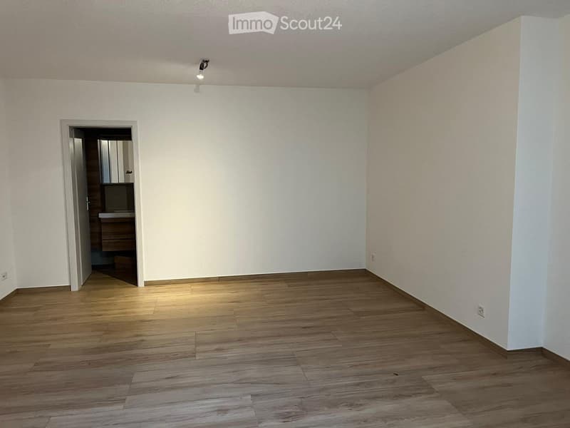 Studio for rent in Court (3)