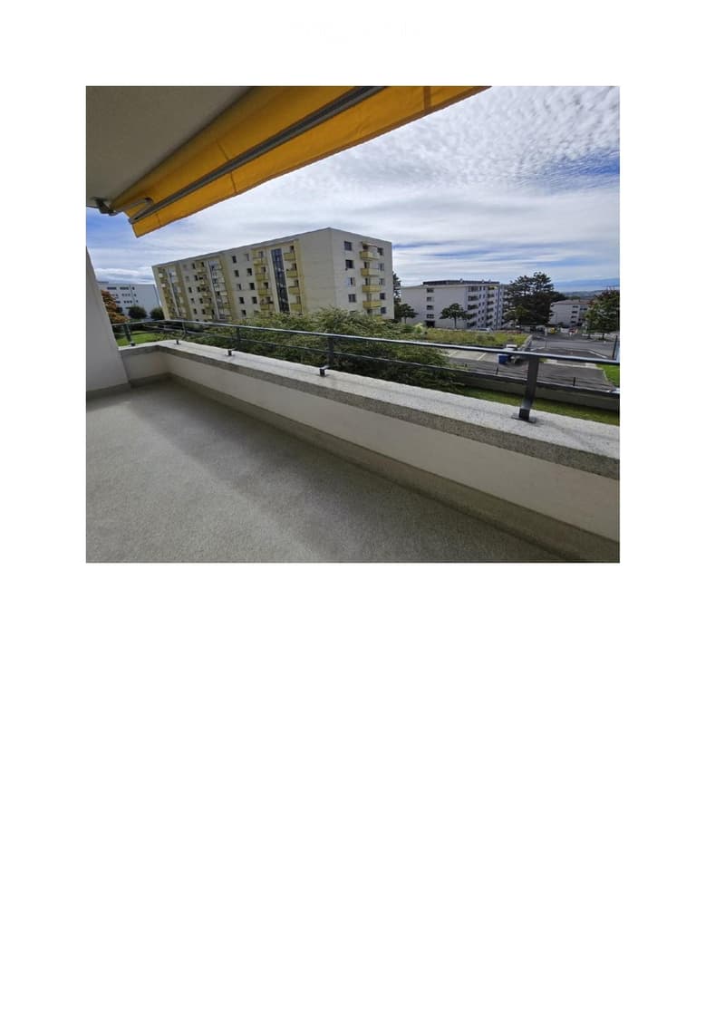 Lausanne - Charming renovated apartment 4.5 rooms, 98 m², Balcony (1)