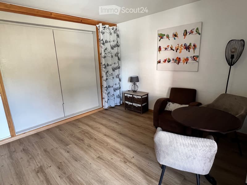 Nendaz - Cozy studio in the city center (annual rental) (2)