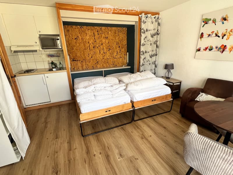 Nendaz - Cozy studio in the city center (annual rental) (3)