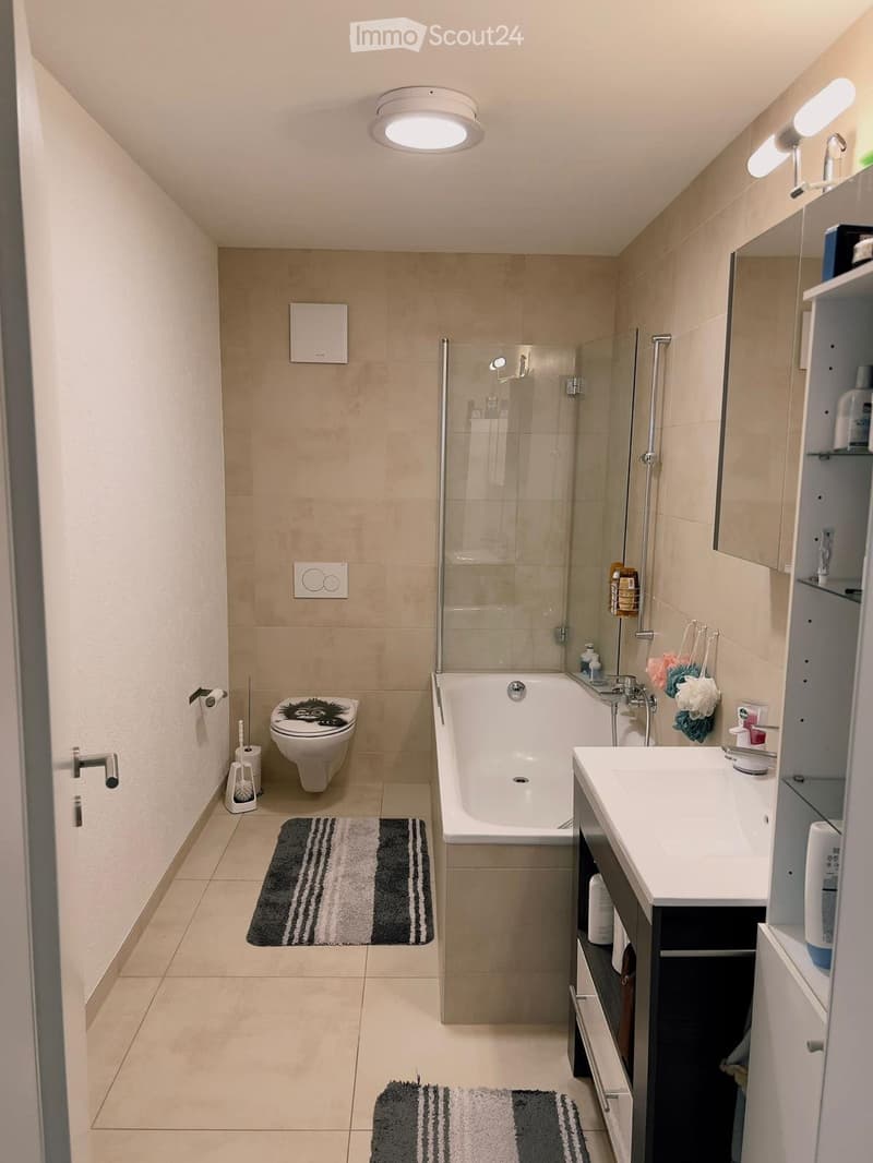 Superbo appartamento di 4.5 locali di 140 m² (5)