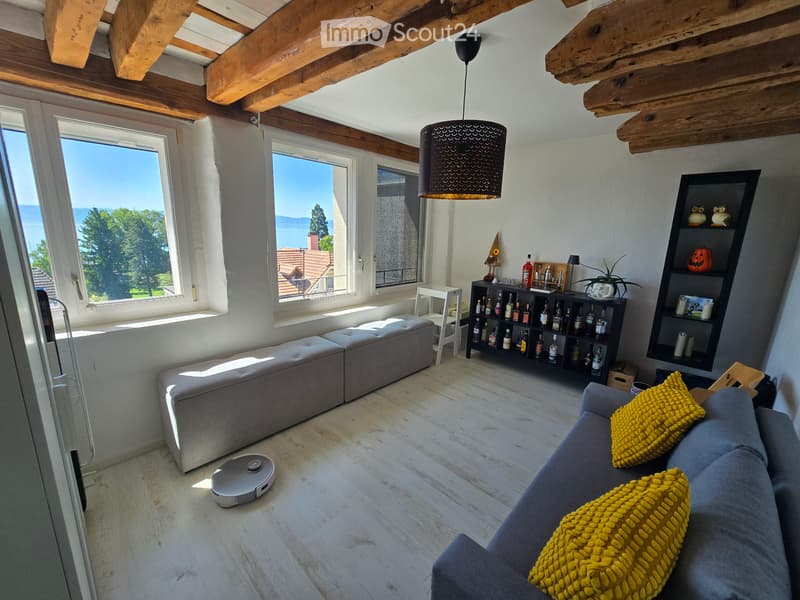 4 pièces avec vue lac, 3 chambres et parking (5)