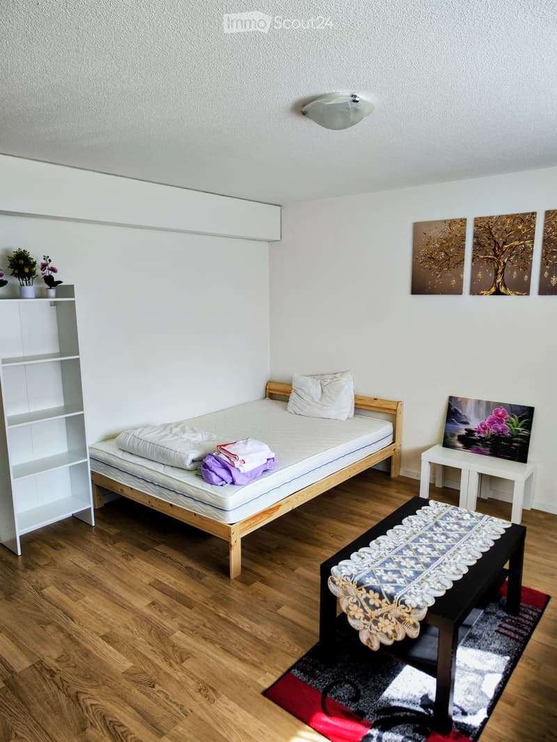 Studio Apartment in Thun - Subtenant Wanted (3)