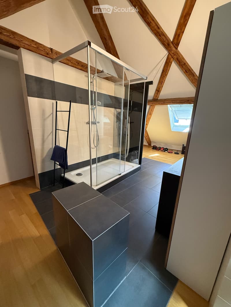 Reprise de bail Superbe loft 140 m² plein cur de Lausanne (2)
