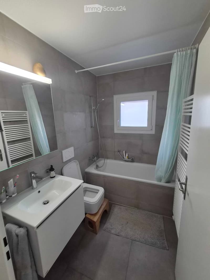Bright 2.5-room apartment with lake view in Montelly (2)