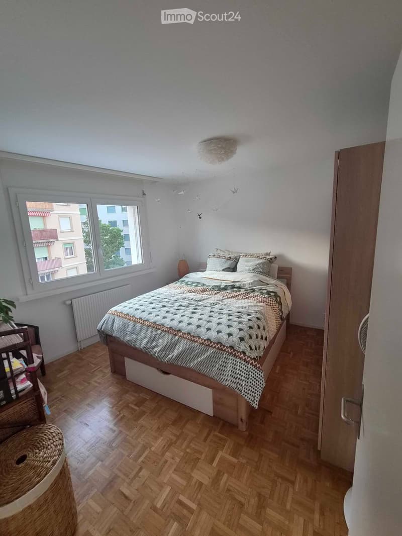 Bright 2.5-room apartment with lake view in Montelly (5)