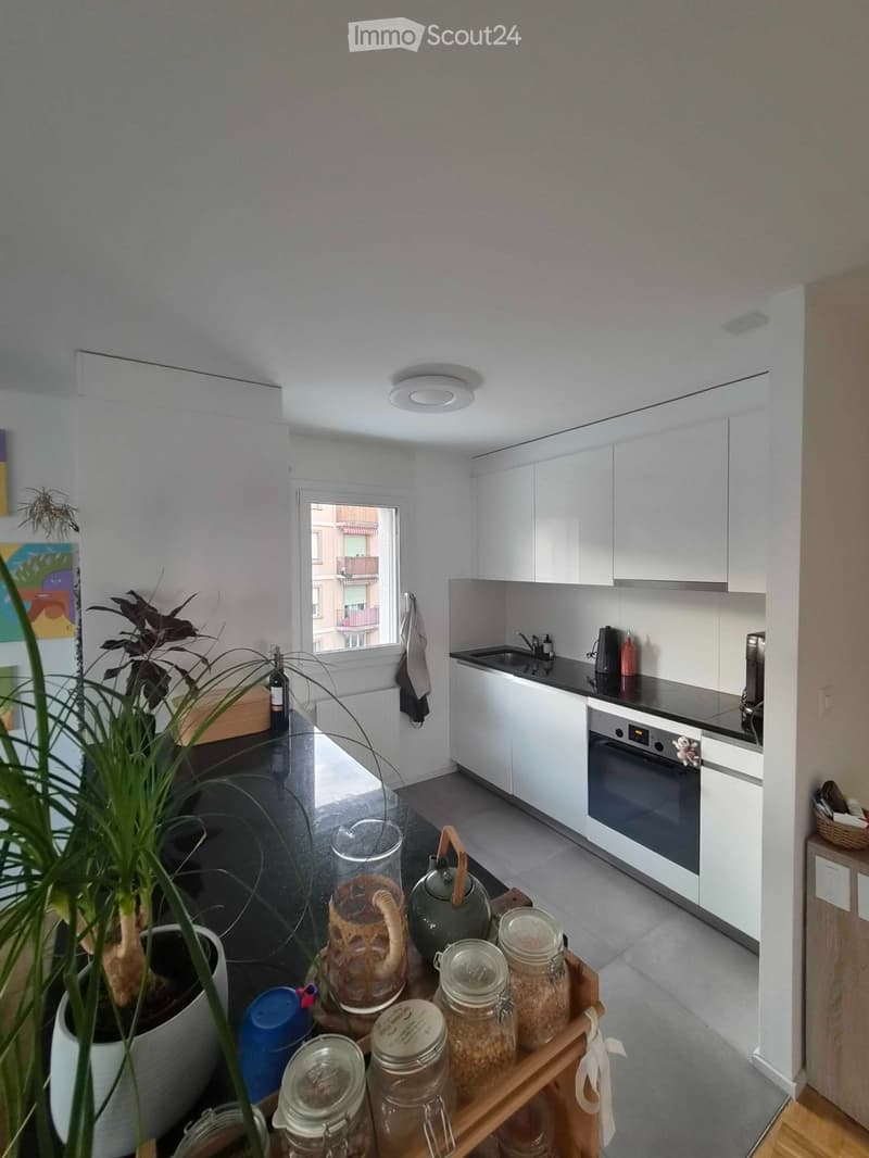 Bright 2.5-room apartment with lake view in Montelly (3)