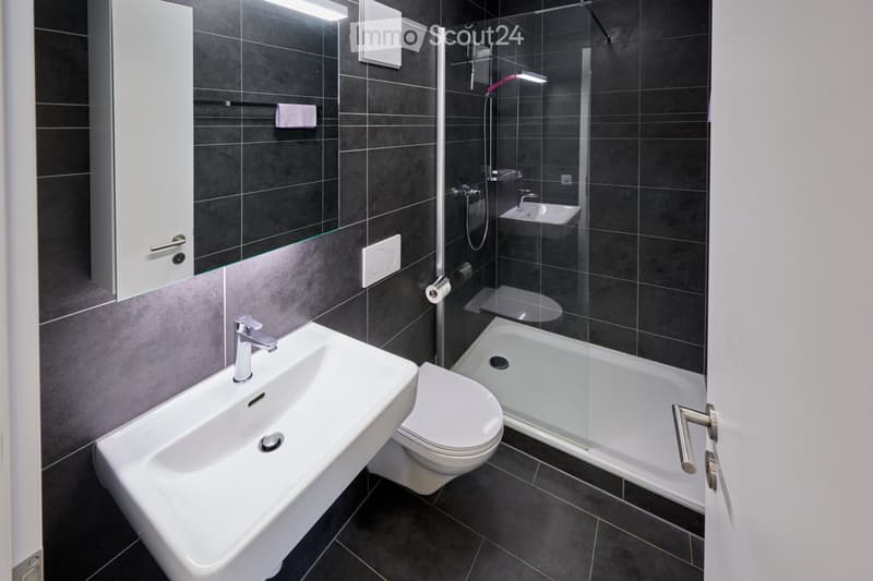 Charming 4.5-room apartment with private garden (3)