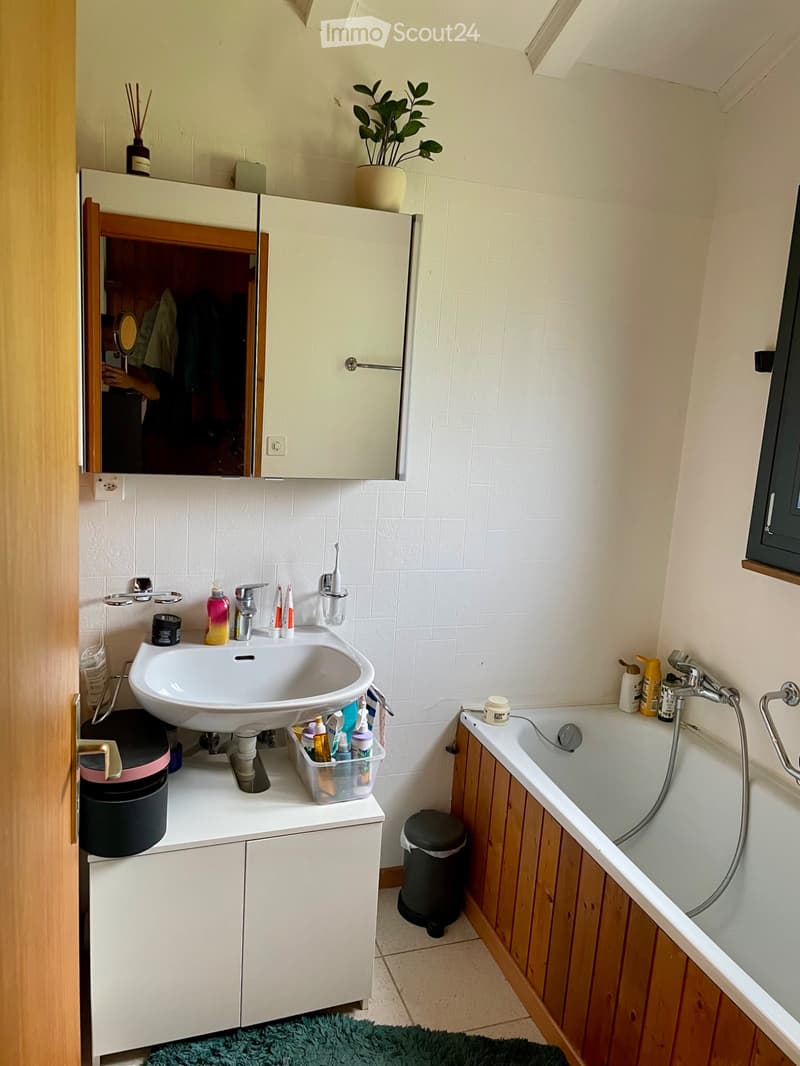 House 6.5 rooms for rent (5)
