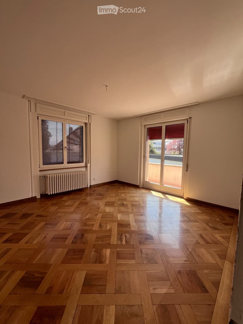Bello appartamento di 4 locali con parquet e fascino (5)