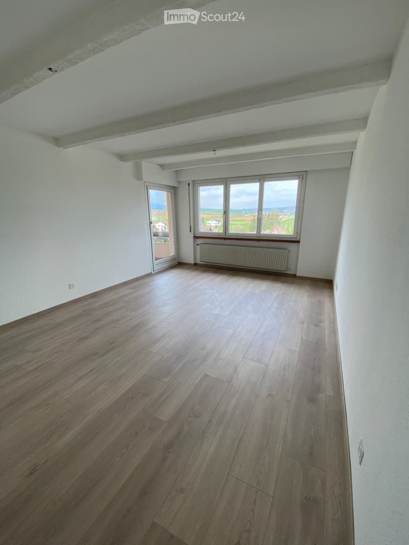 Meraviglioso appartamento traversante di 3,5 locali, completamente ristrutturato (4)