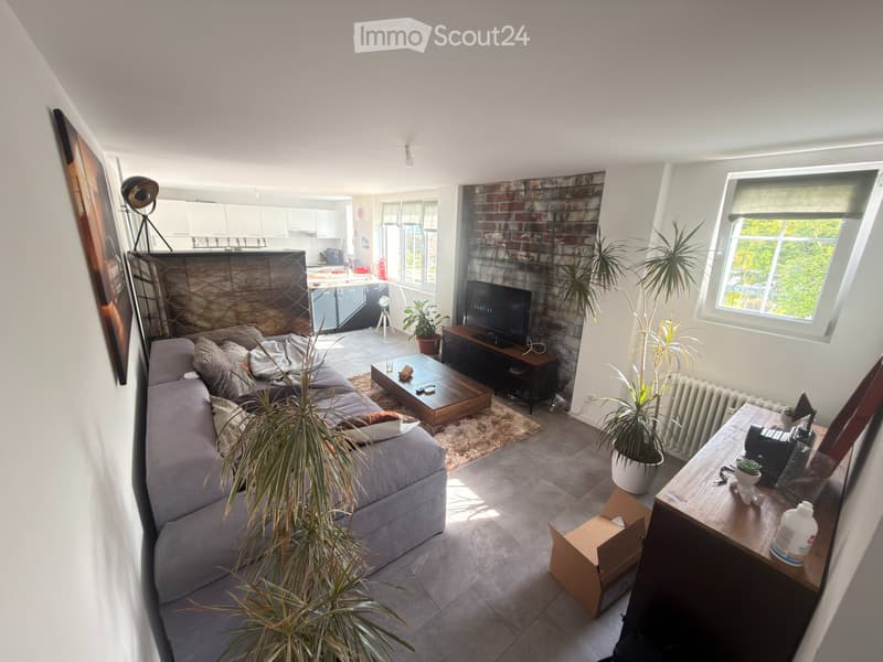 Chambre ou appartement 3,5 pièces meublé à sous-louer (3)