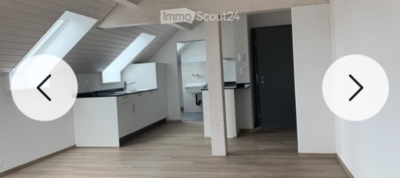Beautiful 2.5 rooms (3)