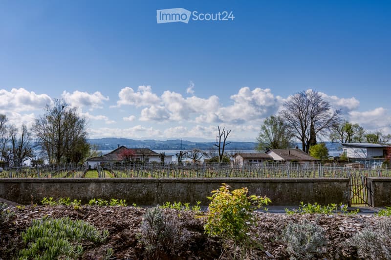 Modern furnished apartment in Vully, with a view of Lake Morat (4)