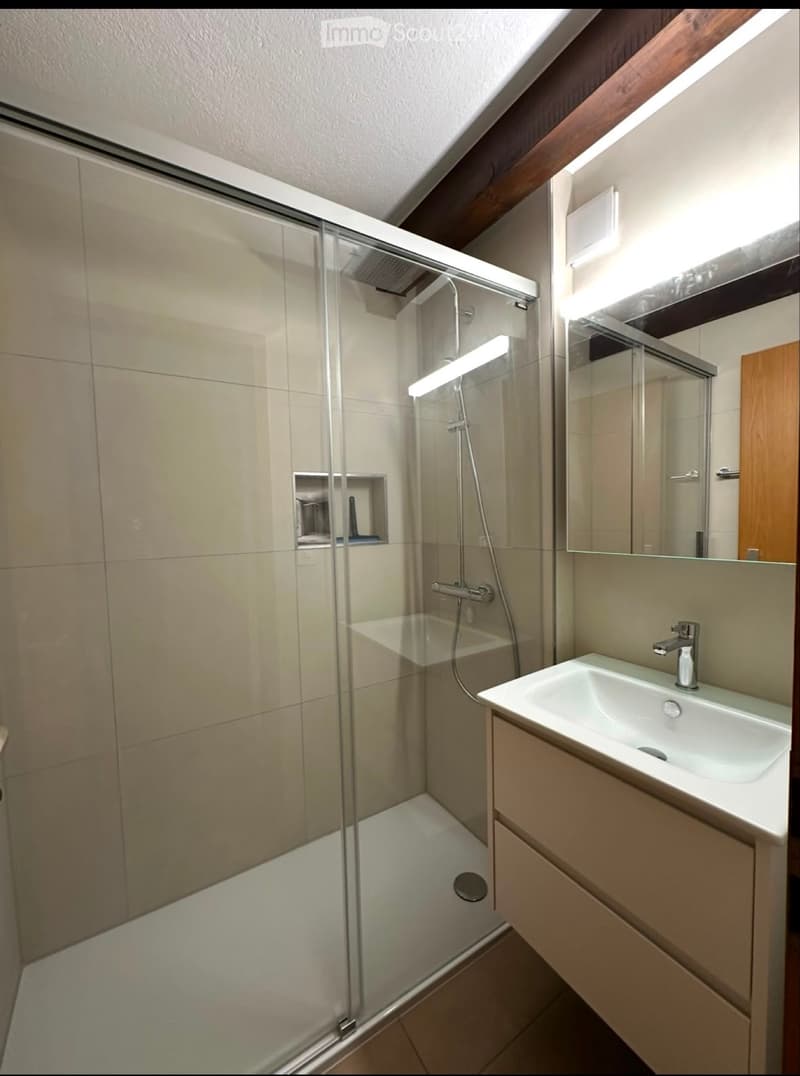Apartment with 2.5 rooms La Neuveville (3)