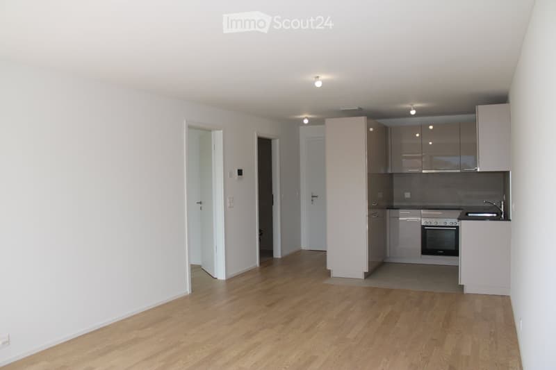 Appartamento nuovo di 2.5 locali con balcone a Losanna (2)