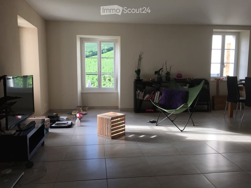 APPARTEMENT A LOUER (2)