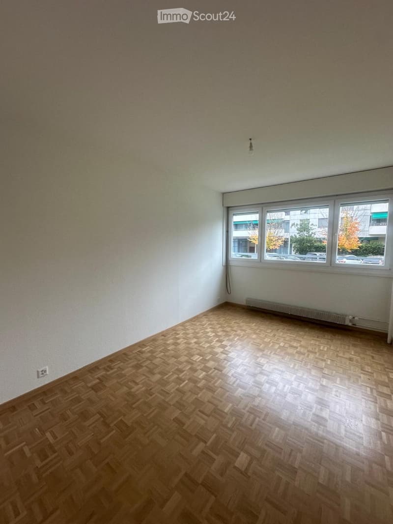 Appartamento di quattro locali a Lancy (5)