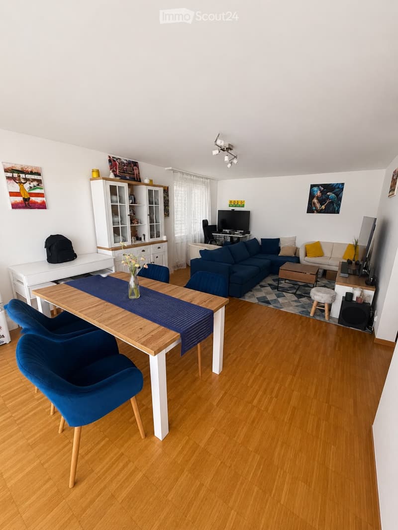 Attico di 3 locali con grande terrazza e vista sul lago (2)