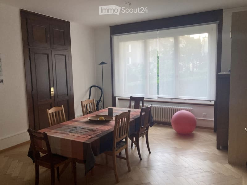 Large bright apartment Maillefer (2)