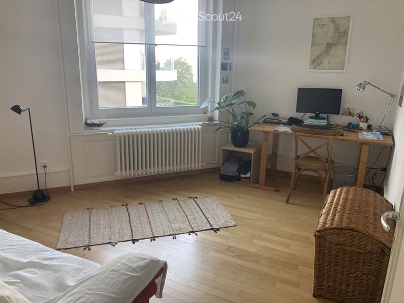 Large bright apartment Maillefer (4)