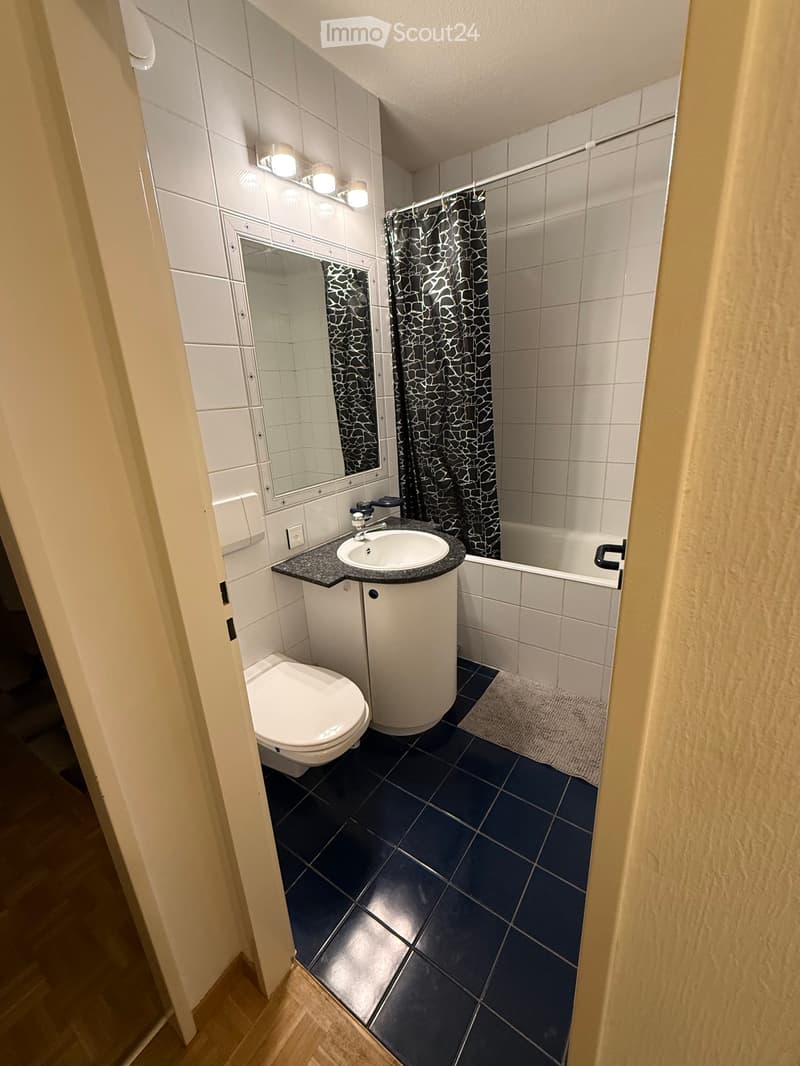 Appartement für Paläo (4)