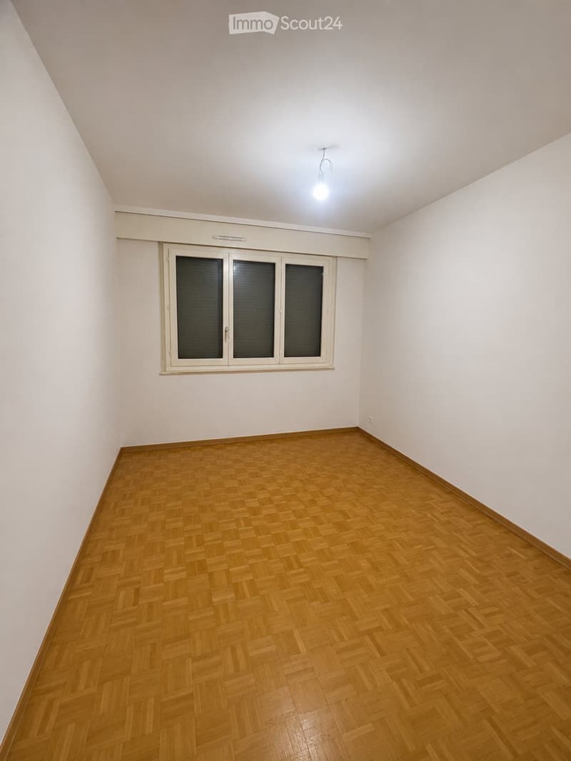 Ampio appartamento di 5 locali a Grand-Lancy (2)