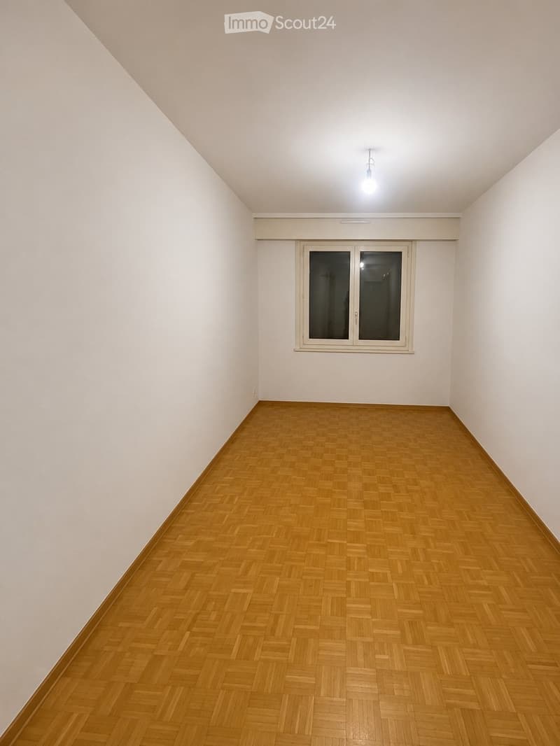 Ampio appartamento di 5 locali a Grand-Lancy (1)