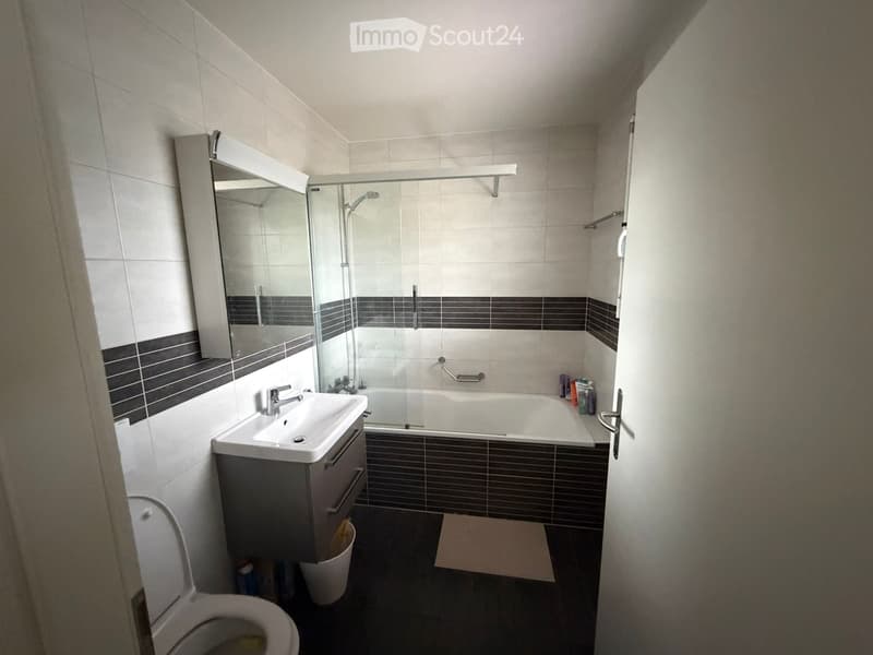 Chambre + SdB privative + place de parc en colocation (4)