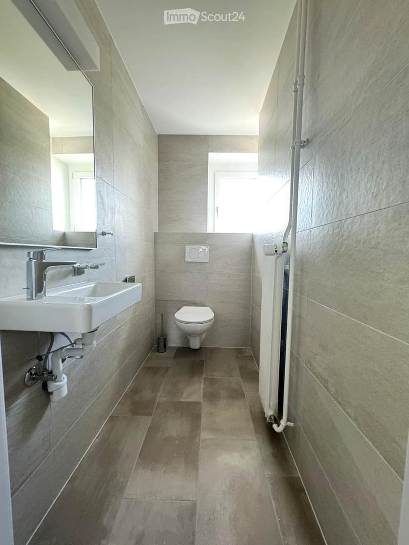 Chambre de 20m2 à louer dans une colocation de 4 chambres (4)