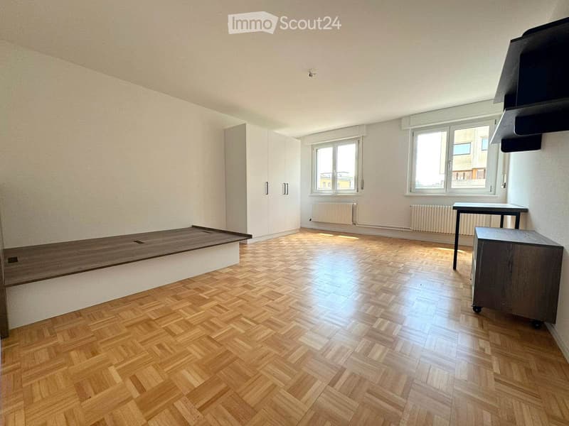 Chambre de 20m2 à louer dans une colocation de 4 chambres (1)
