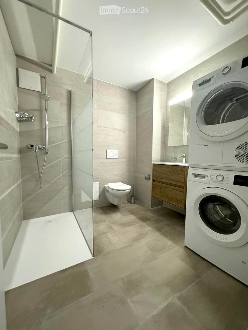 Chambre de 20m2 à louer dans une colocation de 4 chambres (3)