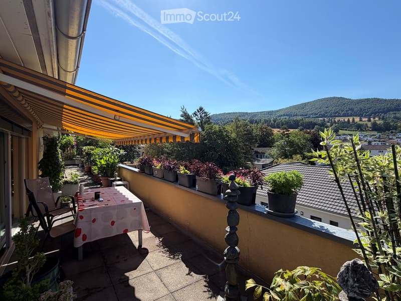Magnifique attique avec sa vue panoramique (2)