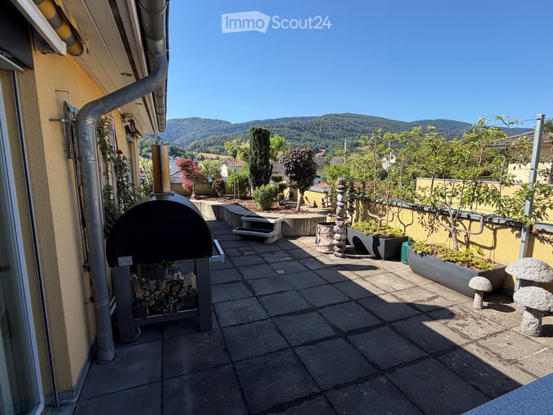 Magnifique attique avec sa vue panoramique (1)