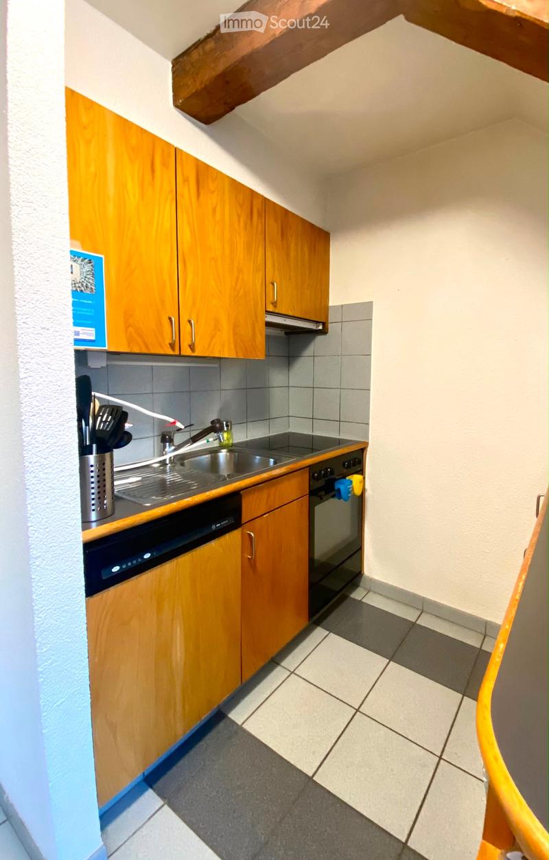 Duplex 3,5 Zimmer möbliert im Stadtzentrum (1)