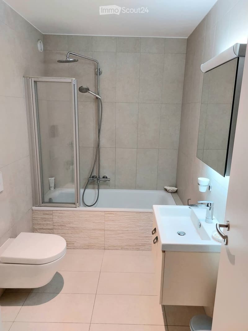 Beautiful apartment available for 8 months (3)