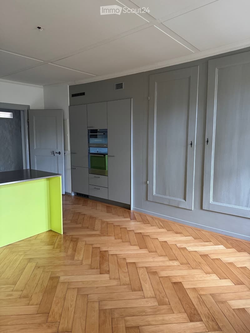 Appartement 4.5 pièces disponible immédiatement jusqu'à la fin 2027 (2)