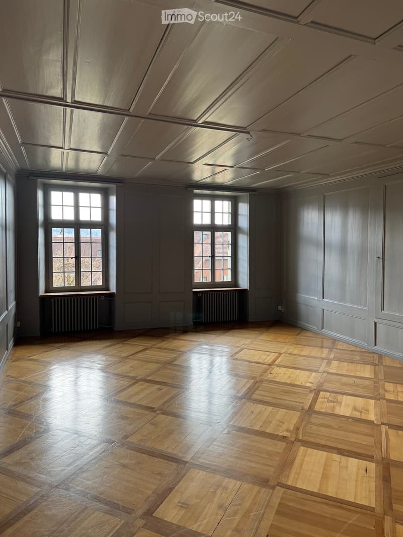 Appartement 4.5 pièces disponible immédiatement jusqu'à la fin 2027 (3)