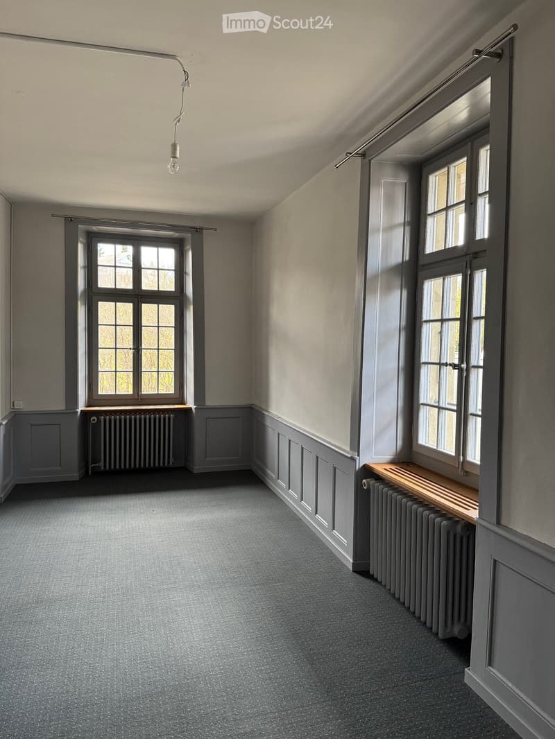 Appartement 4.5 pièces disponible immédiatement jusqu'à la fin 2027 (6)