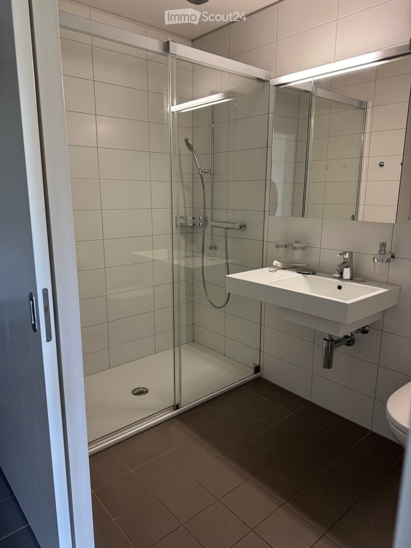 Appartement 4.5 pièces disponible immédiatement jusqu'à la fin 2027 (7)