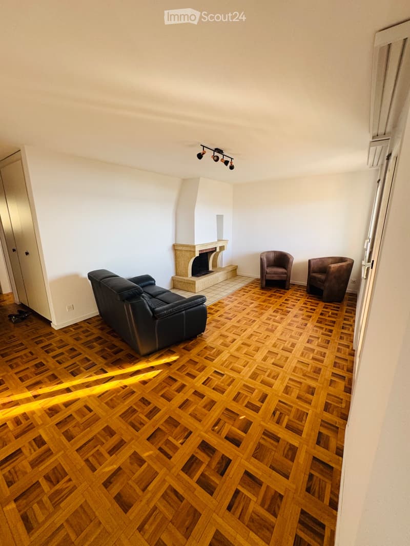 Apartment 3p1/2 with breathtaking view of Lake Morat and the Alps (2)