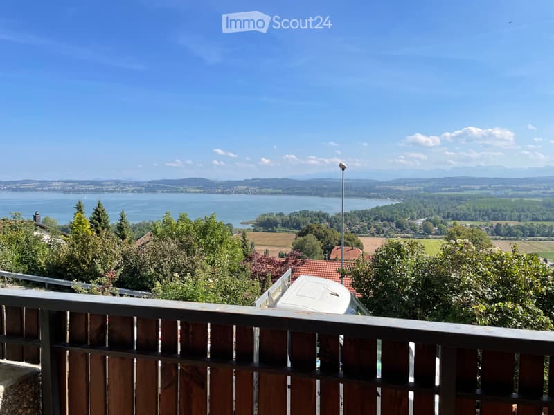 Apartment 3p1/2 with breathtaking view of Lake Morat and the Alps (1)
