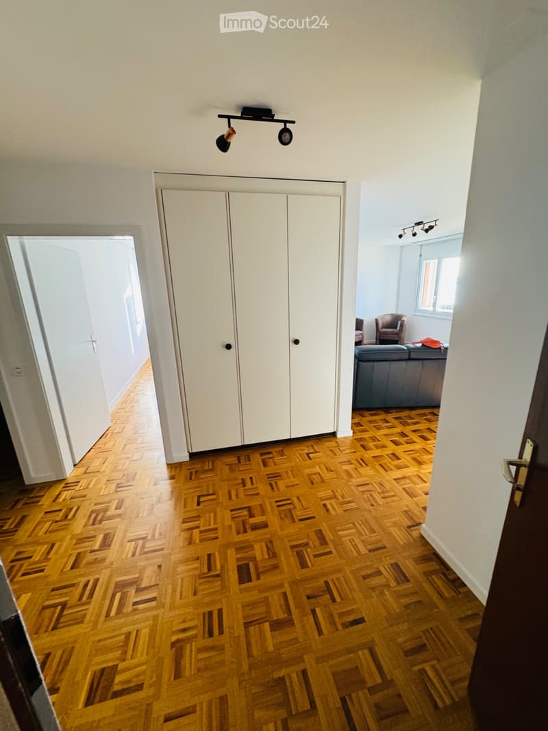 Apartment 3p1/2 with breathtaking view of Lake Morat and the Alps (4)