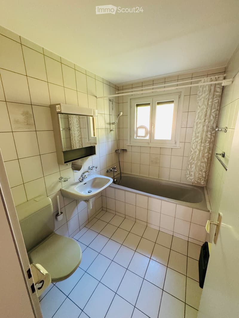 Apartment 3p1/2 with breathtaking view of Lake Morat and the Alps (5)